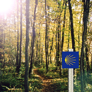 Sur la route de Compostelle